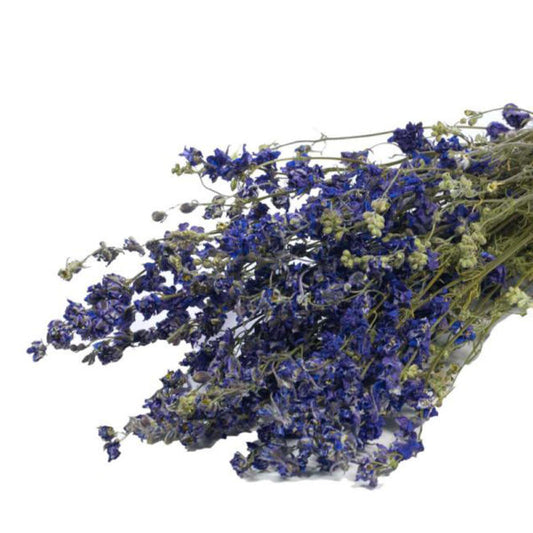 Dried Blue Larkspur