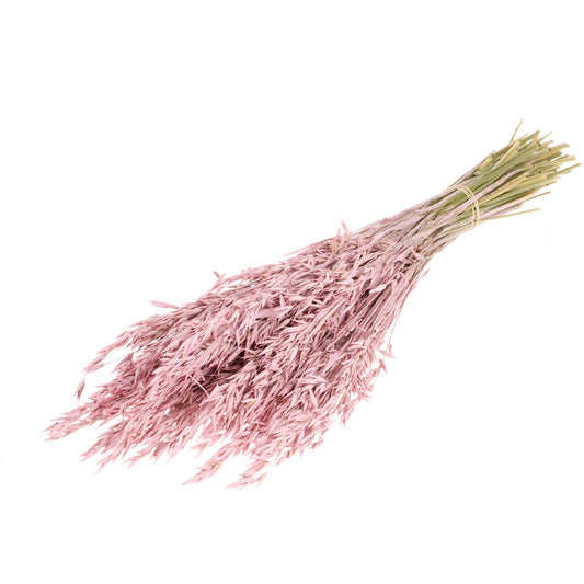 Dried Oats - Pink Misty