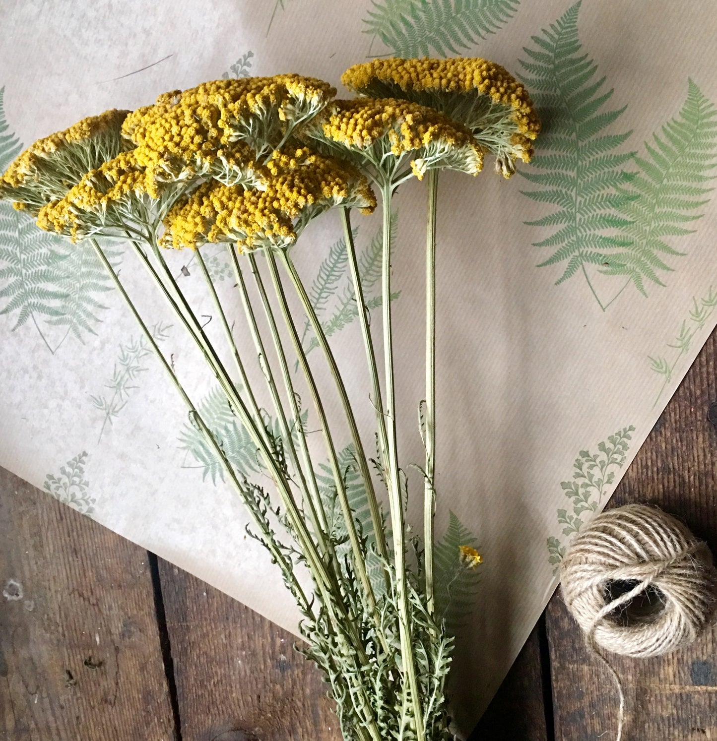 Dried Achillea Yellow Bunch