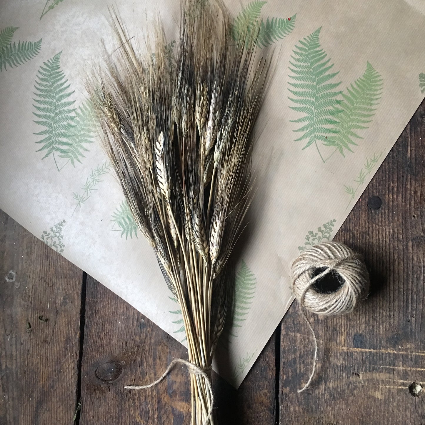 Dried Seed Heads Nigella Orientalis