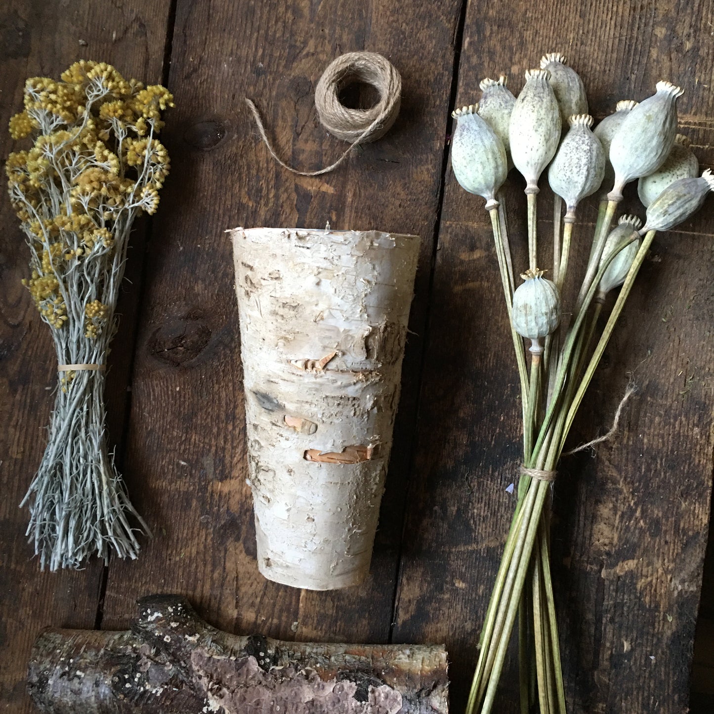 Dried Papaver Heads