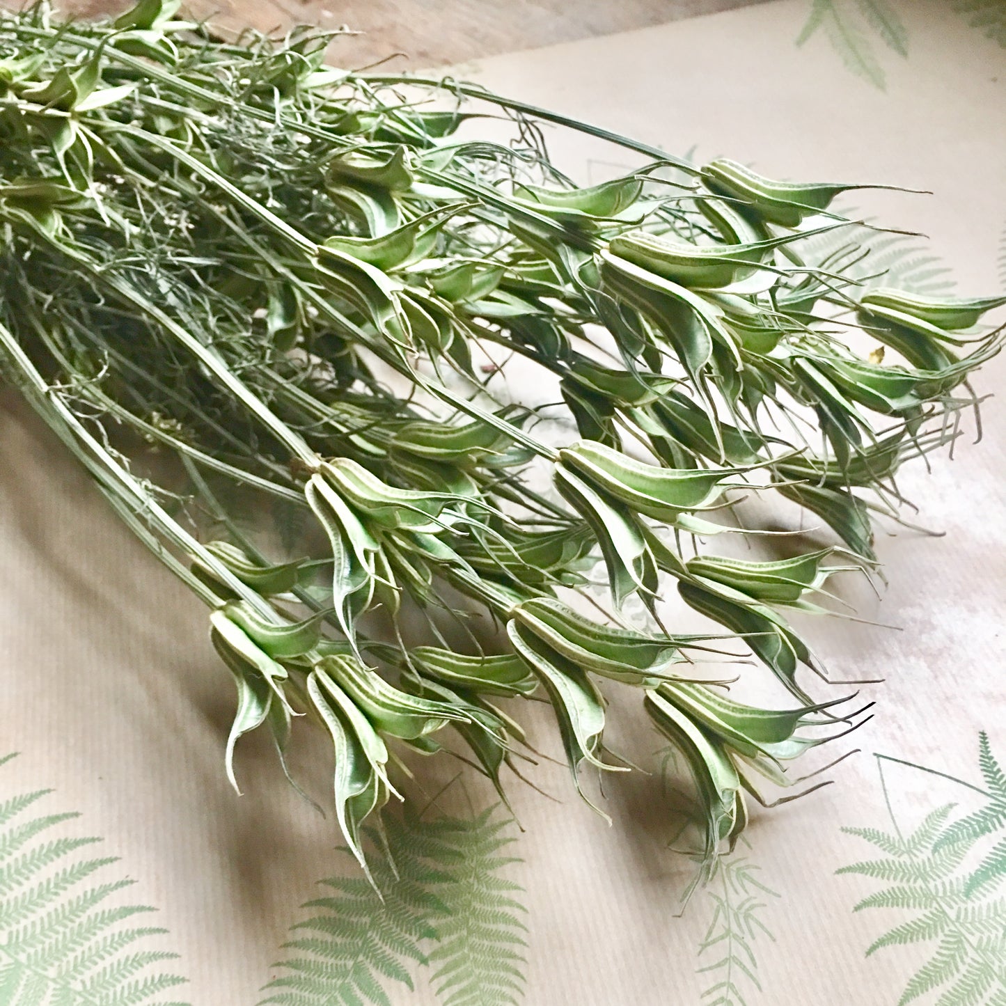 Dried Achillea Yellow Bunch