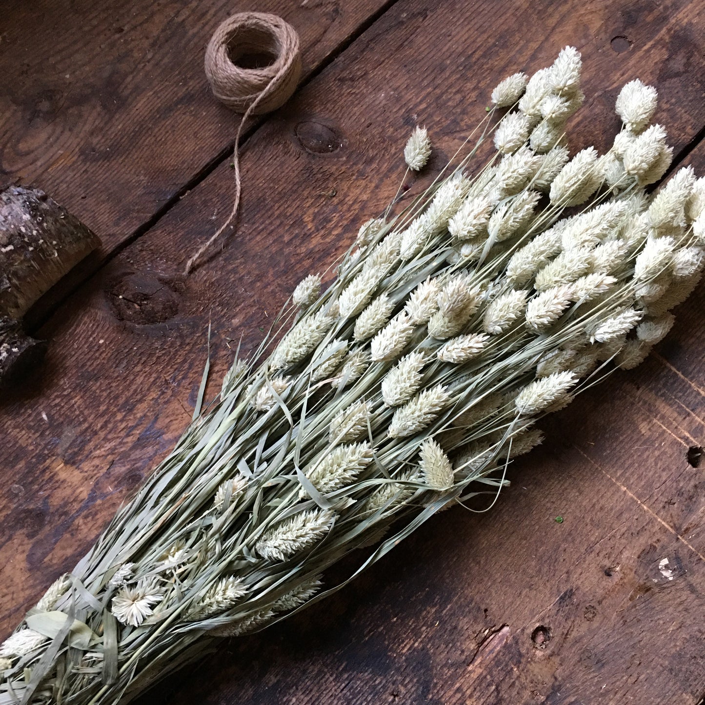 Canary Grass - Natural Phalaris Dried