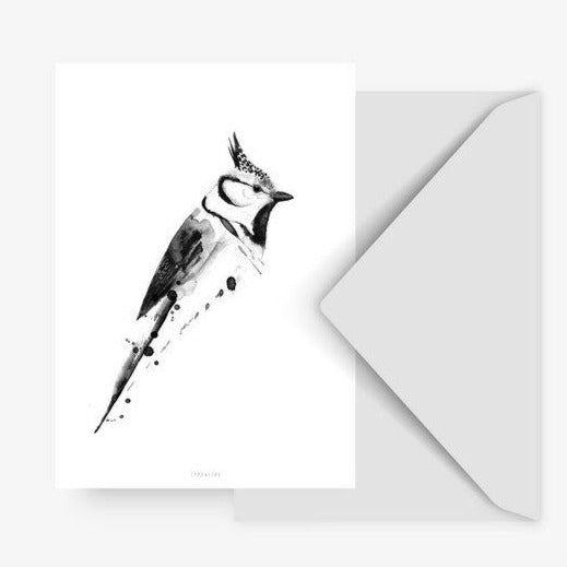 Black & White Bird Card