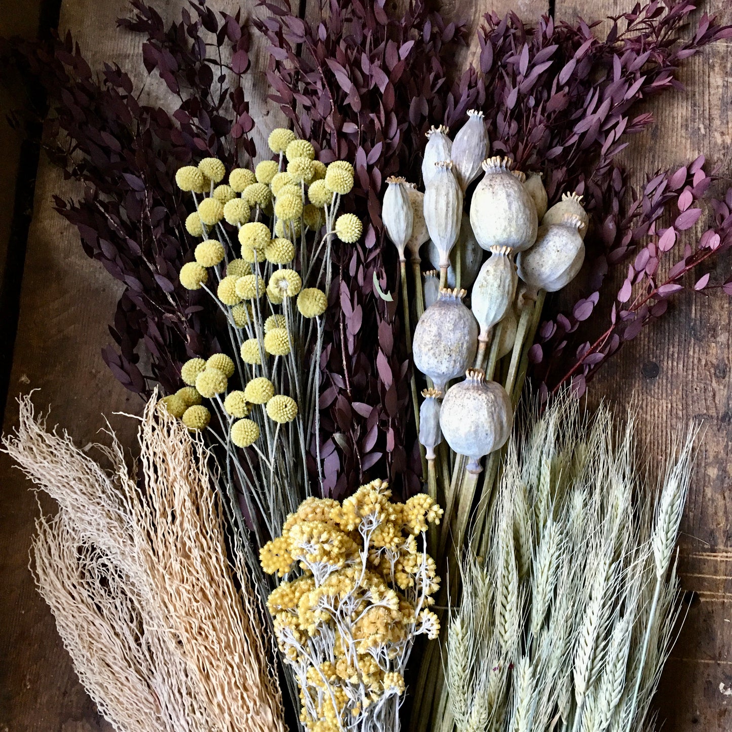 Preserved Red Eucalyptus Bunch