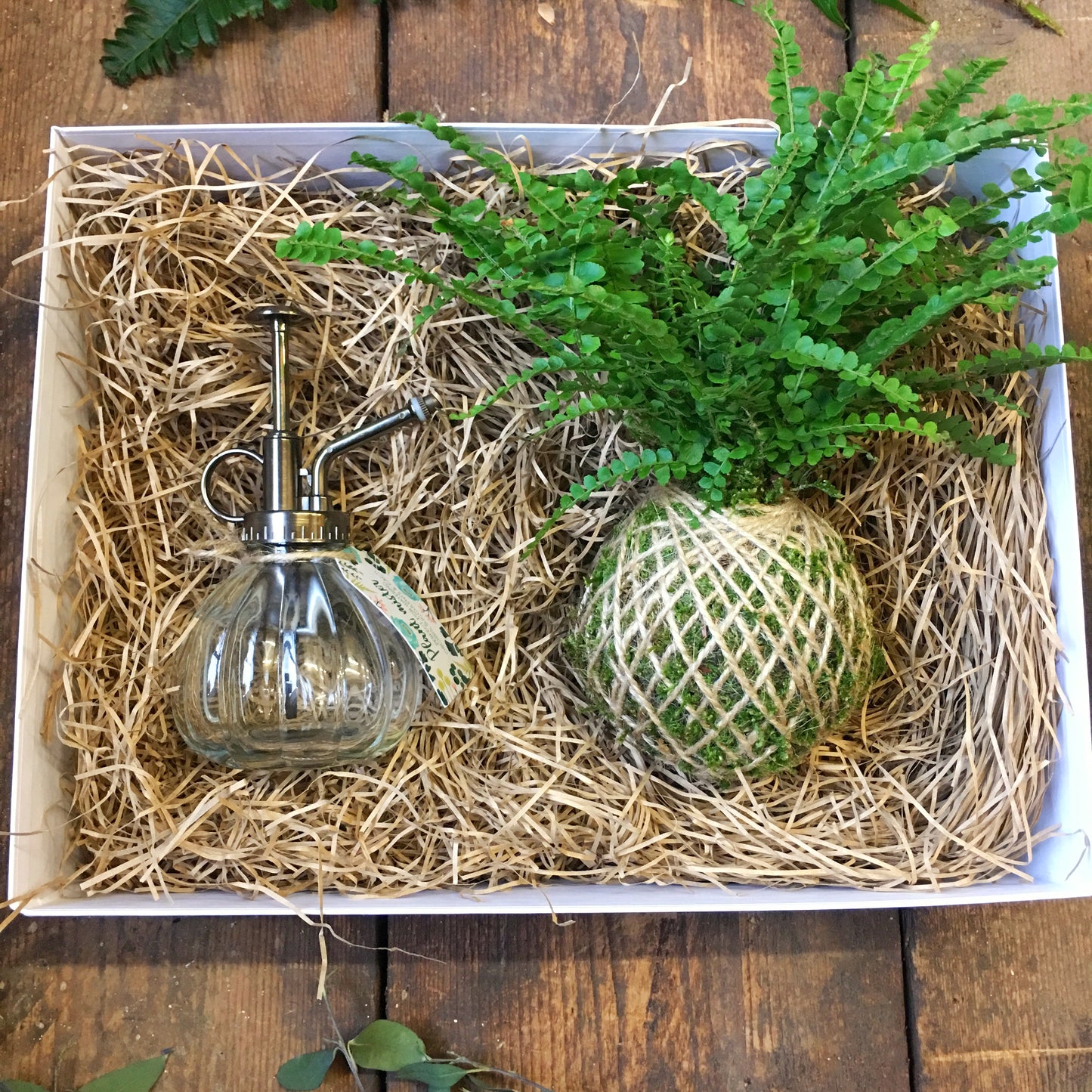 Fern Kokedama & Botanical Mister Gift Box