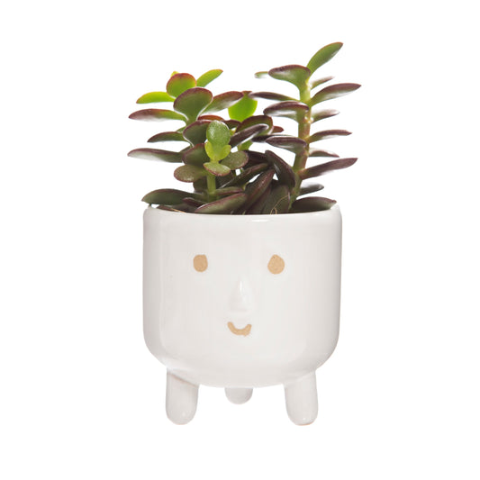 Face Glaze Leggy Planter