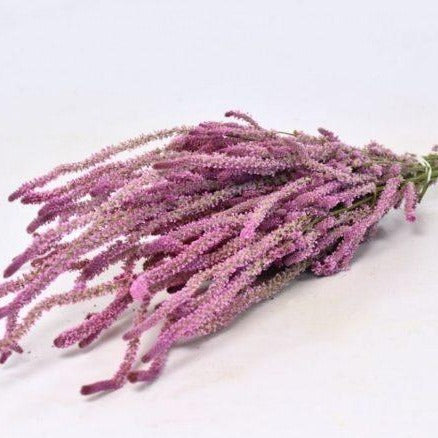 Natural Pink Dried Statice Suworowii