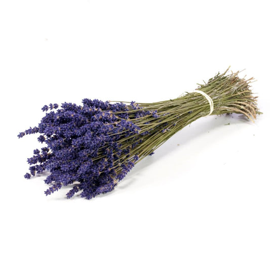 Dried Lavender Bunch