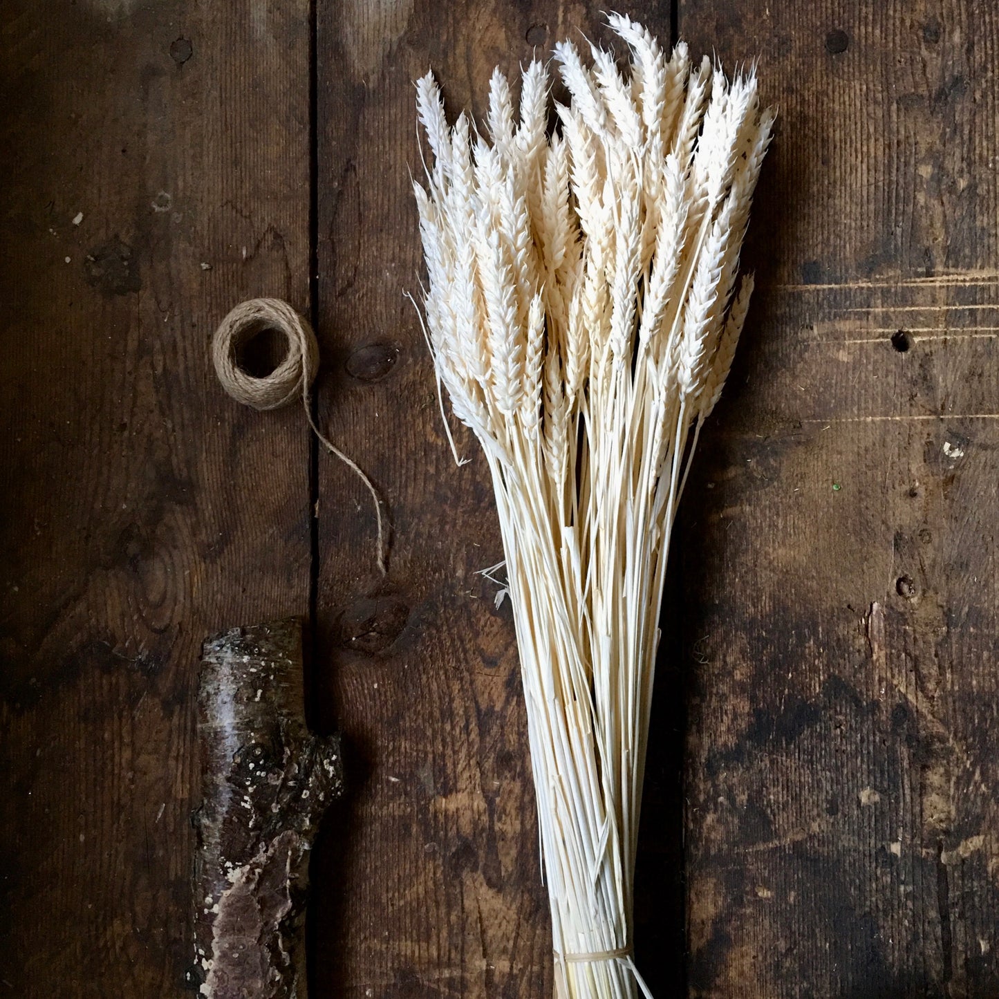 Dried Wheat Bunch - White