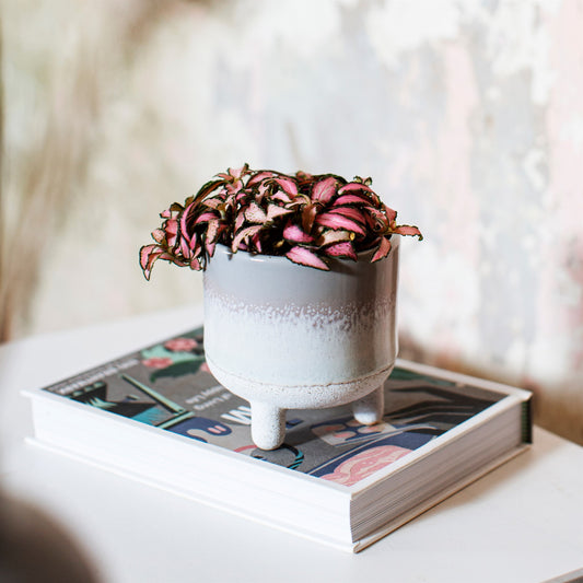 Grey Glaze Mini Planter