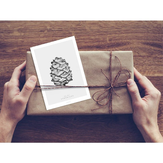 Pine Cone Card - No.1