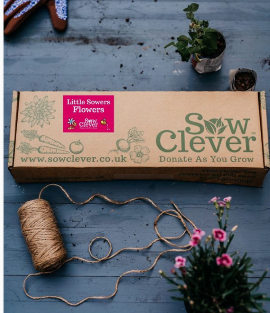 Little Sowers Flowers Seed Set