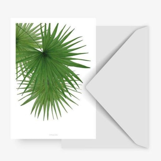 Sun Palm Card