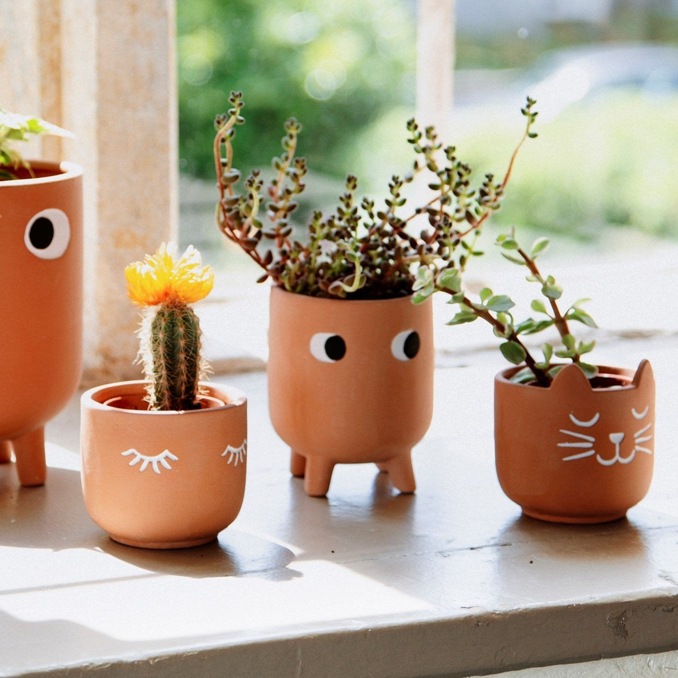 Eyelash Mini Terracotta Planter