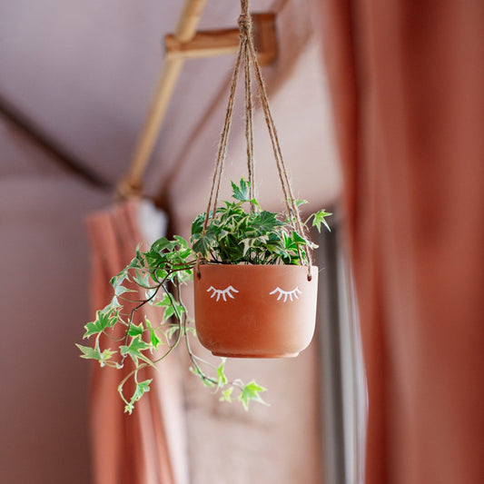 Eyelash Terracotta Hanging Planter