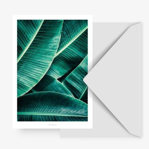 Tropical Leaves Card