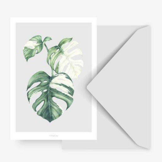 Variegated Monstera Card