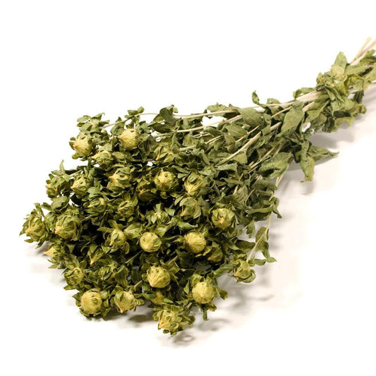 Safflower - Green Dried Flowers