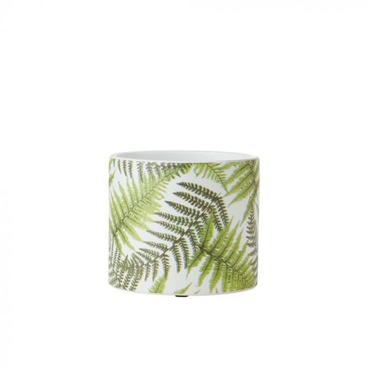 Fern Ceramic Pot