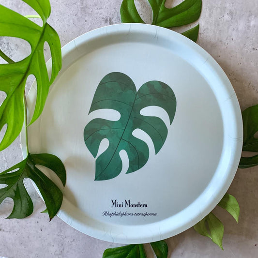 Mini Monstera Serving Tray