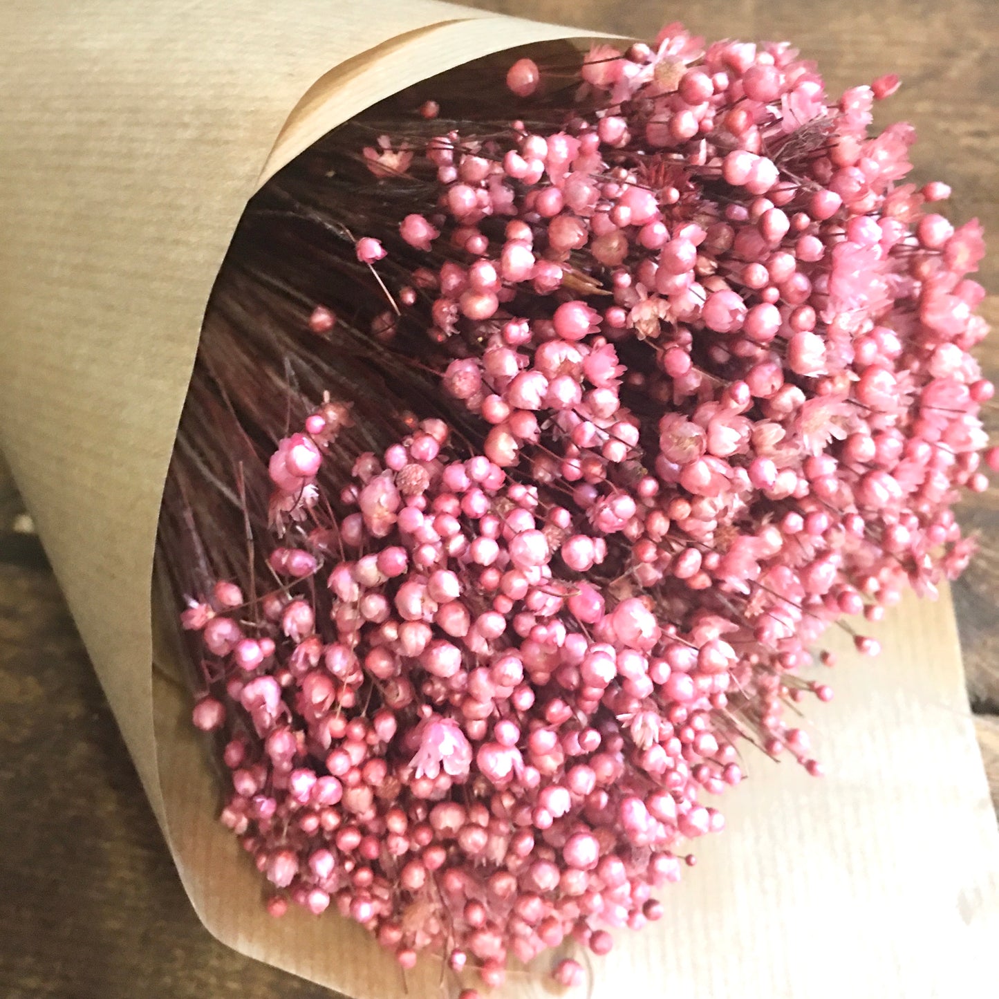 Pink Dried Star Flower