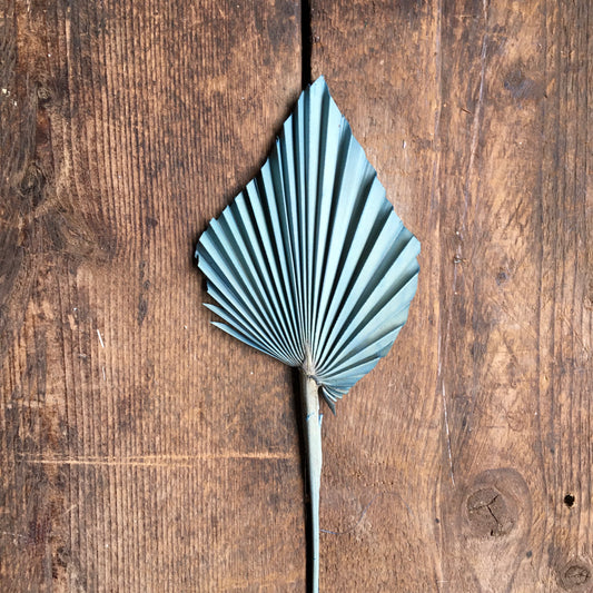 Dried Palm Spear - Teal Stem