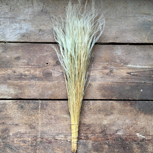 Stipa Pennata Fluffy Grass - Natural