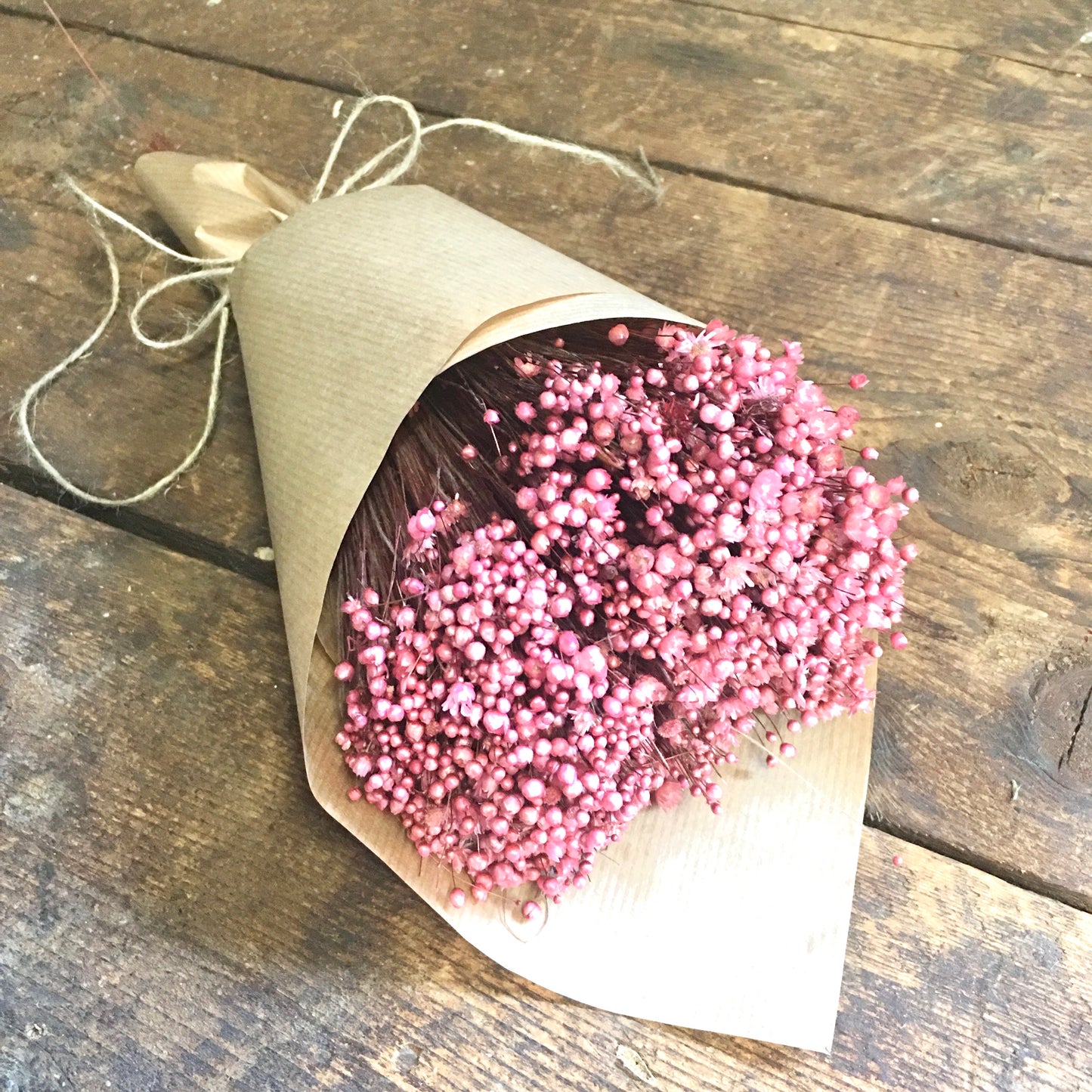 Pink Dried Star Flower