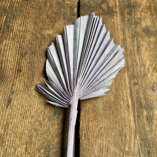 Dried Palm Spear - Vintage Lilac Stem