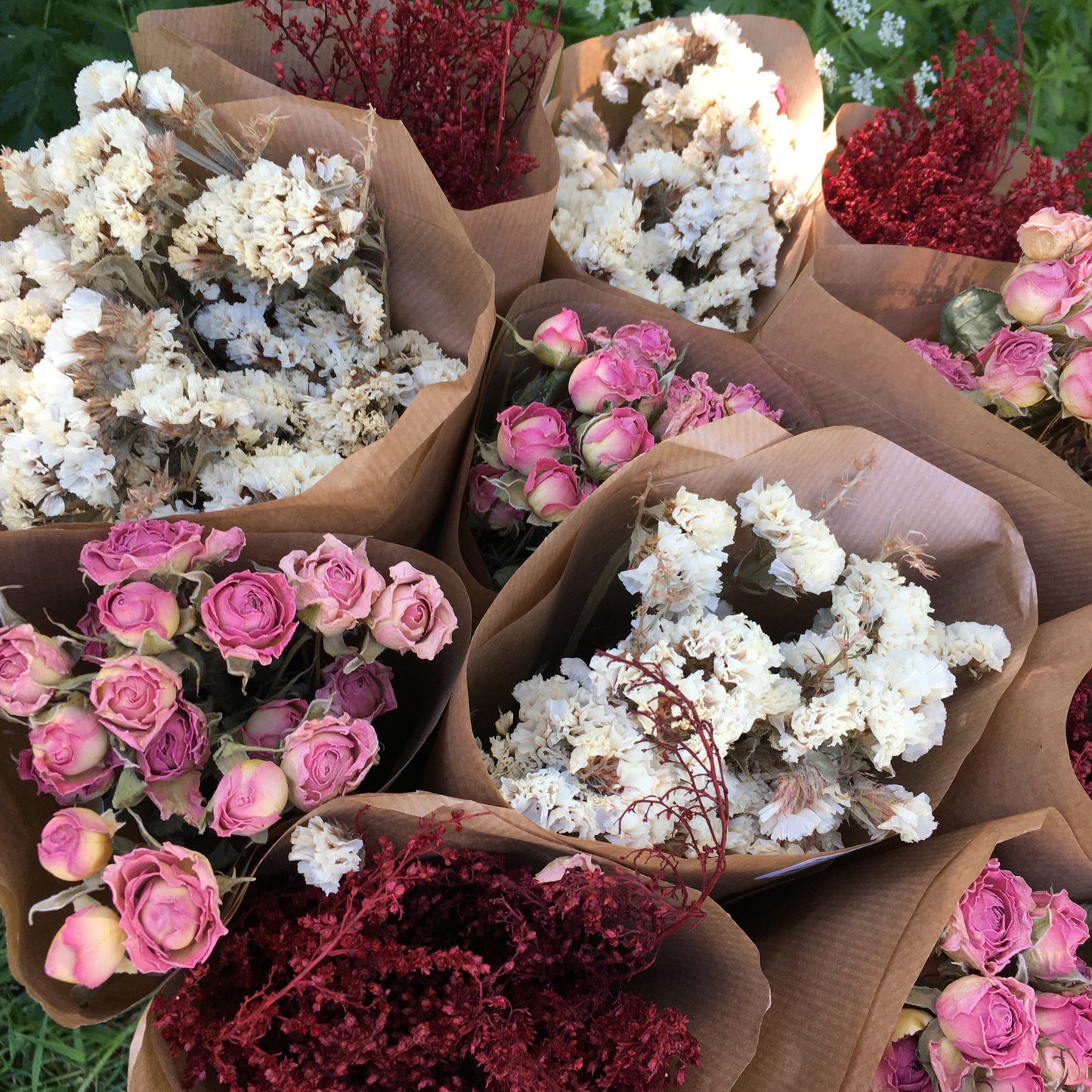 Dried Roses Pink