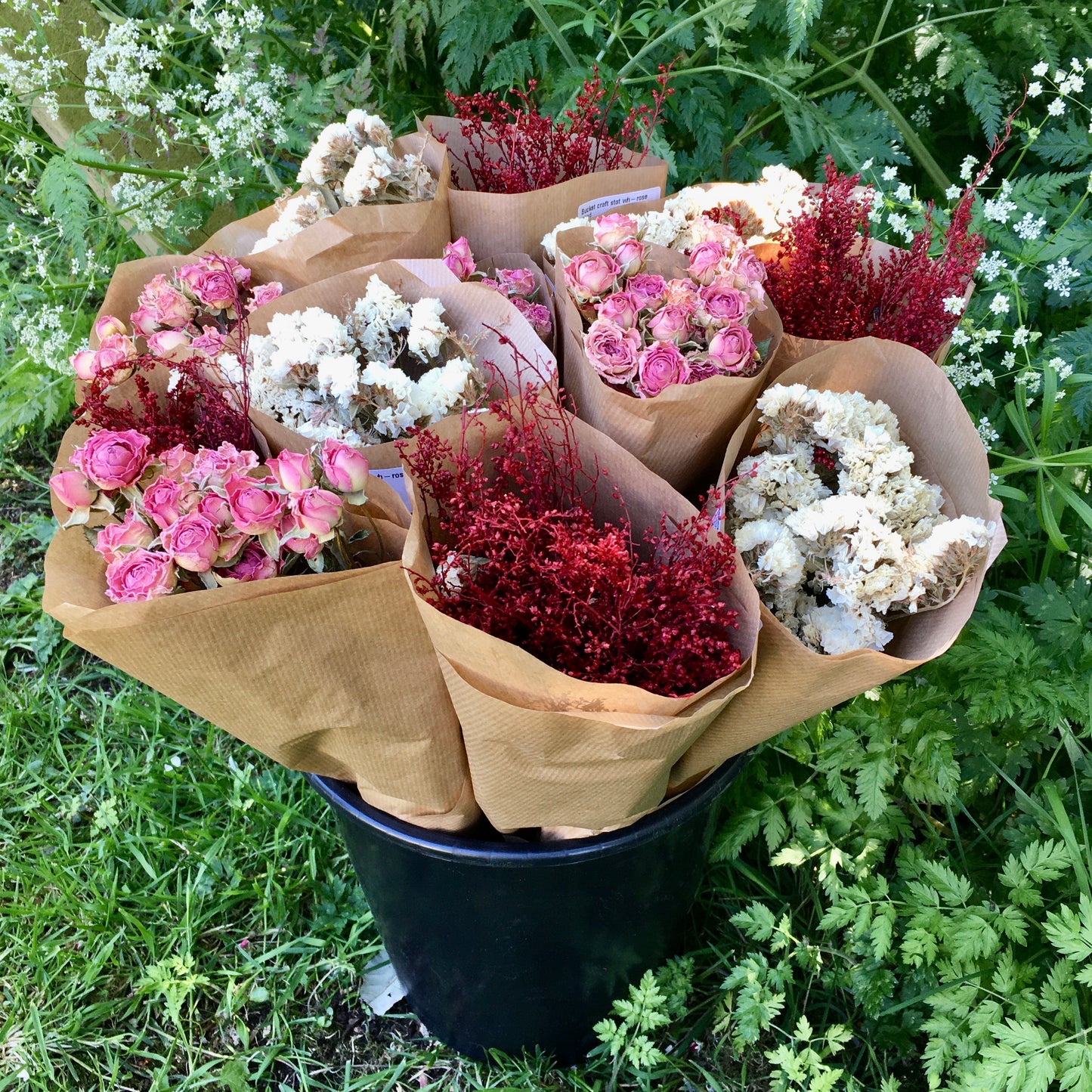 Dried Roses Pink