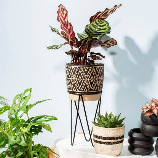 Nomad Print Planter With Stand