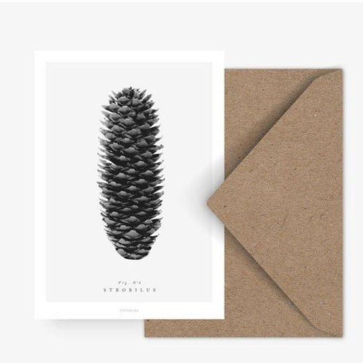 Pine Cone Card - No.4