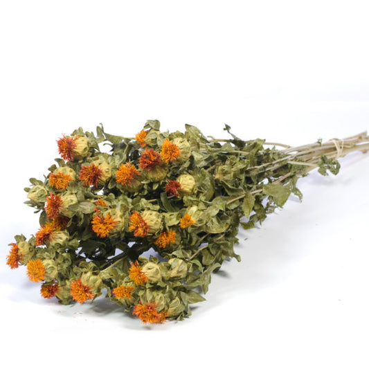 Safflower - Orange Dried Flowers