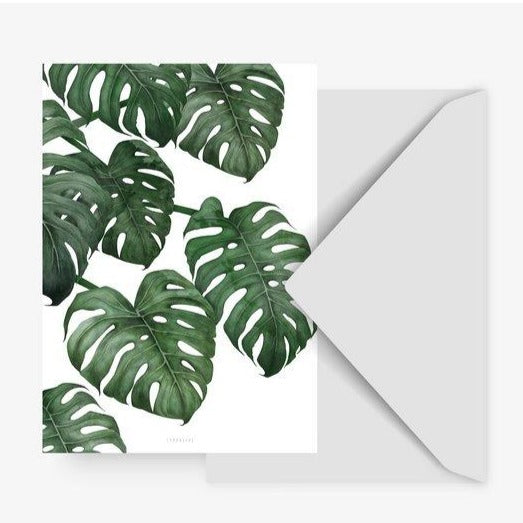 Swiss Cheese Plant Card